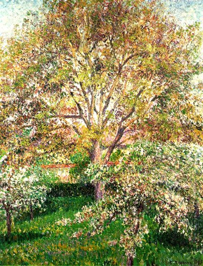Trees in Bloom at Eragny, 1895 by Camille Jacob Pissarro